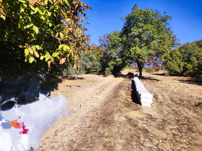 Büyü1692